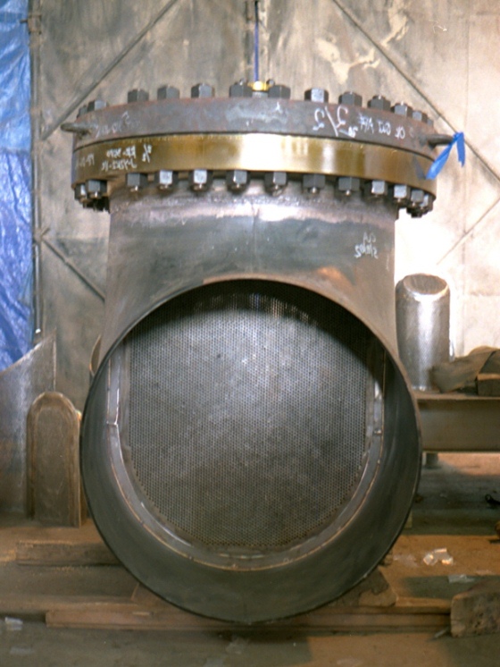 CS In-line Strainer	